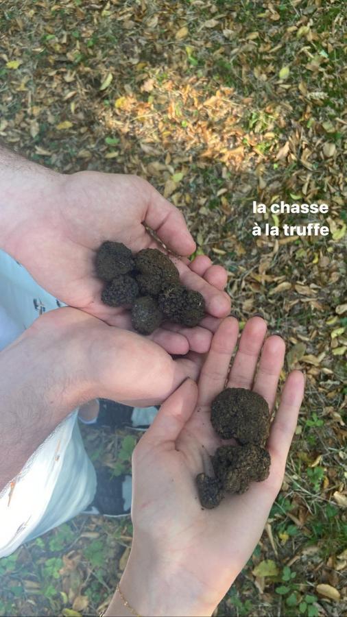 Hébergement de vacances La Borie Du Bois Sarlat *